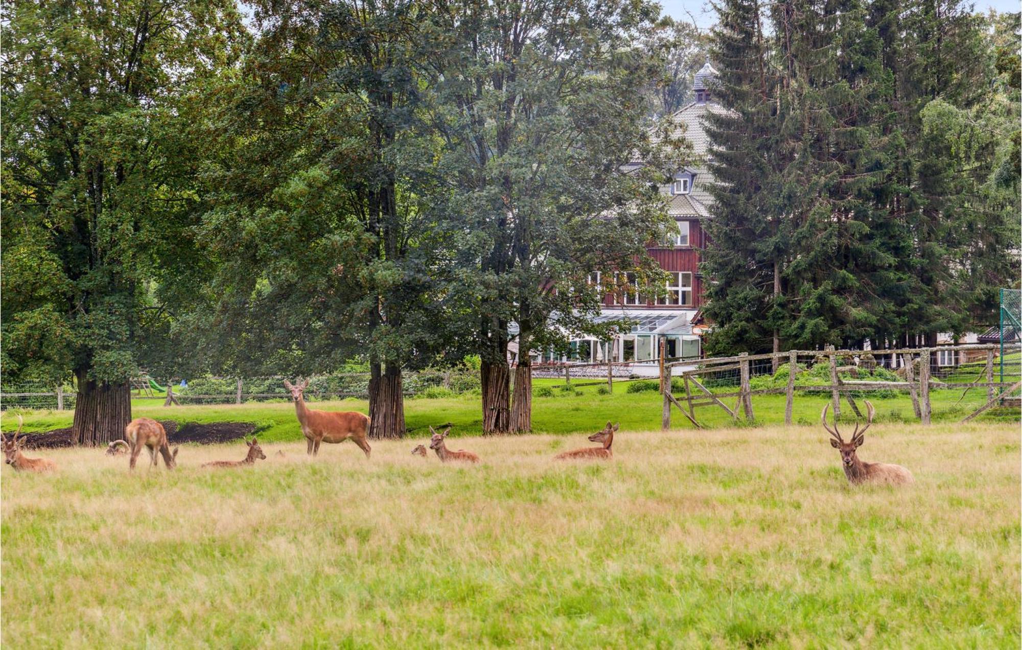 Stunning Home In Oberharz With Wifi Benneckenstein Εξωτερικό φωτογραφία